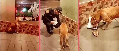 Joven policía siente pena por perrito callejero y le compra pollito a la brasa Joven policía siente pena por perrito callejero y le compra pollito a la brasa