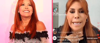 Magaly Medina envía fuerte mensaje de empoderamiento: “Todo lo he conseguido con esta cara” Magaly Medina envía fuerte mensaje de empoderamiento: “Todo lo he conseguido con esta cara”