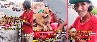 Tiktoker le ofrece $100 a mendigo a cambio de su perro, pero él da enorme lección Tiktoker le ofrece $100 a reciclador a cambio de su perro, pero él da enorme lección: "él me ama"