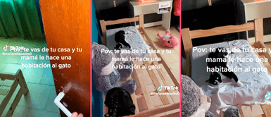 Joven se fue de la casa y su madre remodela su habitación para el gato Joven se fue de la casa y su madre remodela su habitación para dársela al gato: "Prioridades"