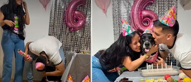 Fueron pareja, pero ahora se encuentran por el cumpleaños de la hija perruna Dejaron de ser novios, pero ahora se encuentran por el cumpleaños de la hija perruna
