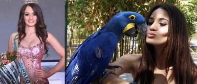 Modelo mexicana tuvo un triste final cuando llegó a enamorarse del sicario, mano derecha del 'Chapo'. El Chapo Guzmán: ¿Qué fue lo que ocurrió con una reina de belleza que amó ‘Al Cholo Iván’ mano derecha del narco mexicano?