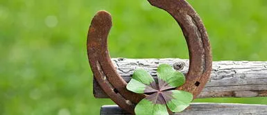 La herradura atrae la suerte ¿Cómo realizar el ritual con la herradura para atraer la suerte y el éxito en tu vida?