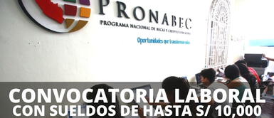 Convocatoria laboral de Pronabec ofrece sueldos de hasta S/ 10,000: cómo postular, requisitos y más Oportunidad laboral en Pronabec con sueldos de hasta S/ 10,000: cómo postular, requisitos y más