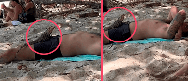 Iguana causa asombro en bañistas por posar encima de un hombre dormido: “Esa iguana era hembra” Iguana causa asombro en bañistas por posar encima de un hombre dormido: “Esa iguana era hembra”