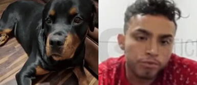El sujeto recibió 9 meses de prisión preventiva por matar a un perro. Dictan prisión preventiva contra individuo que mató a balazos a un perro en Trujillo