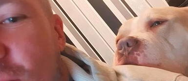 El perrito salvó la vida de su dueño. Perro muere por salvar la vida a su dueño y hombre quedó desconsolado: "Lo era todo para mí"