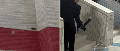 Met Gala 2023: una cucaracha 'desfila' en la alfombra roja y se roba todos los flashes Met Gala 2023: una cucaracha 'desfila' en la alfombra roja y se roba todos los flashes