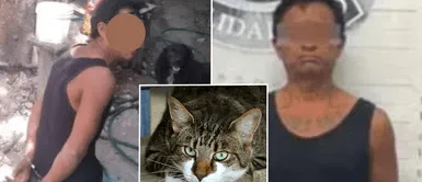 El gatito fue duramente maltratado por su vecino. Captan a hombre cocinando el gato de su vecino: "Tenía hambre"
