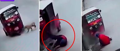 El vídeo del perro que atropella a mototaxi se volvió viral en minutos. El mundo al revés: Perrito 'atropelló' a una mototaxi y el chófer salió volando
