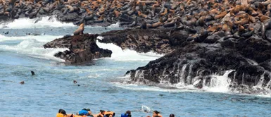 Callao: rescatan a 22 turistas de nave hundida cerca a las islas Palomino Callao: rescatan a 22 turistas de nave hundida cerca a las islas Palomino