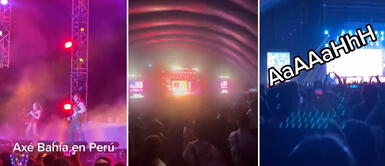 Fans tras asistir al Axe Bahía 20 años: No sé si estaba en el gimnasio o en el concierto Fans tras asistir al Axe Bahía 20 años: "No sé si estaba en el gimnasio o en el concierto"