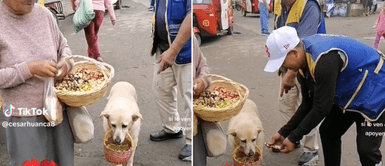 La perrita anda por todos lados con su mamá humana. Perrita coja sale a vender caramelos con su ama y usuarios reaccionan: "La señora no la deja"