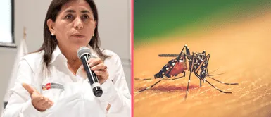 Minsa declara en emergencia en 20 regiones por aumento de casos por dengue Minsa declara en emergencia en 20 regiones por aumento de casos por dengue
