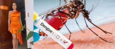 Janet Barboza criticó al Estado Peruano por situación del país debido al dengue. Janet Barboza hace fuerte crítica al Minsa ante situación del Dengue en el norte del país: “No han hecho nada”