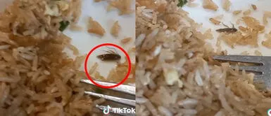 El señor explotó de furia al ver una cucaracha en el plato de su hijo. Peruano denuncia a chifa de SJM por la presencia de una cucaracha en el chaufa de su menor hijo