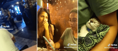 El gatito llamó la atención de sus amigos. Joven sale a bailar con sus amigos y lleva a su gato: "Cuando la abuela no quiere cuidar a la bendición"