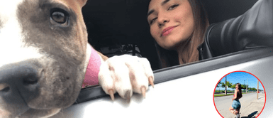 Perrita fallece a los pocos días de su dueña. Joven pierde la vida en accidente de tránsito y su perrita muere a los dos días