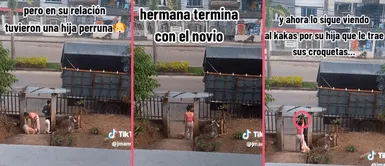 Joven se recuentra con su ex todos los días porque adoptaron una 'perrhija' durante la relación Joven se recuentra con su ex todos los días porque adoptaron una 'perrhija' durante la relación: "Le trae sus croquetas"