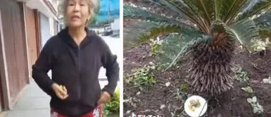 Mujer pone veneno con comida para perros en la puerta de su casa y es expuesta en redes Mujer pone veneno con comida para perros en la puerta de su casa y es expuesta en redes