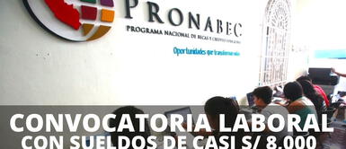 Convocatoria laboral en Probanec abre puestos con sueldos de S/ 8,000: postulación, requisitos y más Convocatoria laboral en Probanec abre puestos con sueldos de S/ 8,000: postulación, requisitos y más