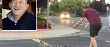 Casey Rivara ayudando a una familia de patitos a cruzar la peligrosa pista Buen hombre ayuda a familia de patitos a cruzar la calle, pero es atropellado por una conductora de 17 años