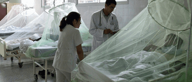 Conoce de qué trata el dengue. ¿Qué medidas tomar para frenar casos de dengue tras más de 100 mil casos en el Perú?