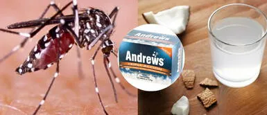 El agua de coco como una terapia auxiliar para el tratamiento del dengue ¿Agua de coco con Sal de Andrews para curar dengue? Conoce este remedio casero