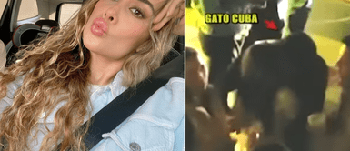 Ale Venturo sorprende con reacción en TikTok. Ale Venturo confirmaría infidelidad de Rodrigo Cuba con otra mujer: filtran la prueba