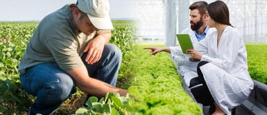 ¿Cuál es la carrera del futuro que tiene demanda laboral en el Perú, pero que nadie quiere estudiar? ¿Cuál es la "carrera del futuro" que tiene demanda laboral en el Perú, pero que nadie quiere estudiar?