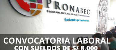 ¿Buscas empleo a nivel nacional? Convocatoria laboral de Pronabec ofrece sueldos de hasta S/ 8,000 ¿Buscas empleo a nivel nacional? Convocatoria laboral de Pronabec ofrece sueldos de hasta S/ 8,000