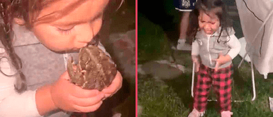 Niña quedó espantada tras besar un sapo y que no se convirtiera en príncipe Niña quedó espantada tras besar un sapo y que no se convirtiera en príncipe: “Perdió la esperanza”