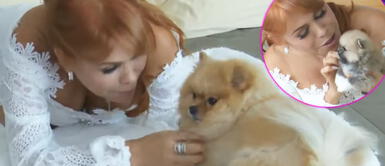 Magaly Medina revela que puso dos doctores al cuidado de su hija Chanel y sus nietos Magaly Medina revela que puso dos doctores al cuidado de su hija Chanel y sus nietos