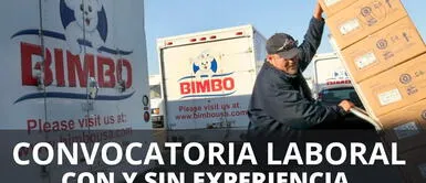 Convocatoria laboral Bimbo lanza puestos de trabajo sin expericia: postulación, requisitos y más ¿No tienes experiencia laboral? Bimbo abre convocatoria a nivel nacional con misteriosos sueldos