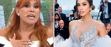 Camila Escribens se hartó de las criticas de Magaly Medina y decidió contestarle fuertemente Camila Escribens se hartó de las criticas de Magaly Medina y decidió contestarle fuertemente