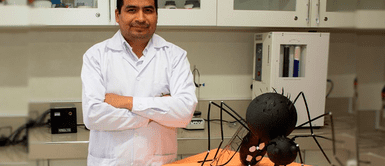 Sanmarquino busca crear un insecticida natural contra el dengue Sanmarquino resalta por su búsqueda para crear un insecticida natural contra el dengue