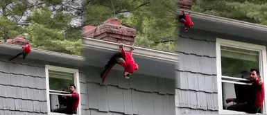 Divertido guacamayo rojo se cree murciélago y hace divertidas poses Divertido guacamayo rojo se cree murciélago y hace divertidas poses