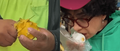 La mexicana se comió 1kg de pitahaya y causó preocupación en los usuarios. Mexicana come 1kg de pitahaya, pero usuarios lanzan terrible advertencia: "Le habrá limpiado hasta el alma"