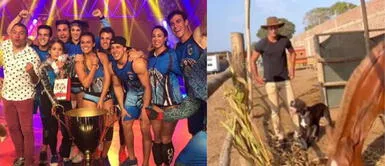 Se retiró de la televisión para dedicarse a la granja De la pantalla a la tierra: ¡Ahora tiene éxito como granjero! La increíble historia de superación después de ser estafado en un reality