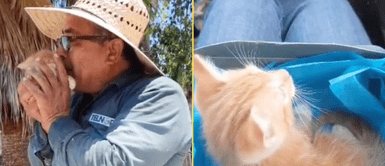 El abuelito y el felino se volvieron grandes amigos. El abuelito y el felino se volvieron grandes amigos.