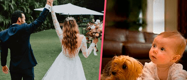 Polémica en redes tras restricción de bebés a boda y canes son bienvenidos ¡No niños, perros sí! Polémica en redes tras restricción de bebés a boda y canes son bienvenidos