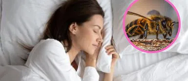 Esto podría indicar obstáculos en tu vida laboral ¿Qué significa soñar que me pica una abeja?