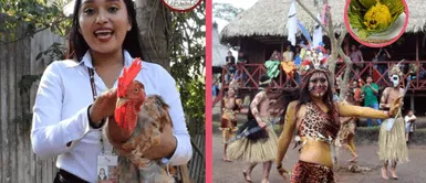 Aumento de robos de gallinas por Fiesta de San Juan Ucayali lanza fuerte aviso ante aumento de hurtos de gallinas por la Fiesta de San Juan