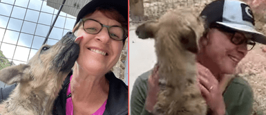 El perrito se mostró muy emocionado con su familia. El perrito se mostró muy emocionado con su familia.