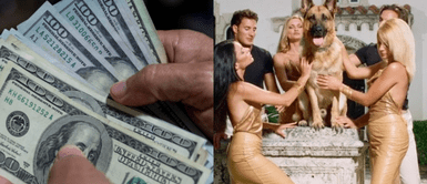 Los cuidadores de perros ya comenzaron a enviar sus solicitudes. Multimillonarios buscan niñera para sus perros: ofrecen 127 000 dólares y solo piden un requisito