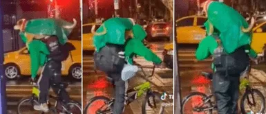 El perrito se volvió viral en redes sociales. El perrito se volvió viral en redes sociales.