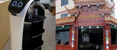 Este gato ha hecho una revolución en la atención hacia los clientes. Chifa ‘contrata’ a Gatito robot en reemplazo de meseros: ¿Dónde queda y cómo llegar al local?