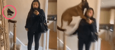 ¡Amor incondicional! Perrijo se cuelga de su mamá humana tras escuchar el llamado y se vuelve viral en redes ¡Amor incondicional! Perrijo se cuelga de su mamá humana tras escuchar el llamado y se vuelve viral en redes