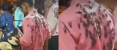 Los músicos se vieron atacados por la plaga de grillos. Piura: músicos peruanos son cubiertos por plagas de grillos en medio de una presentación