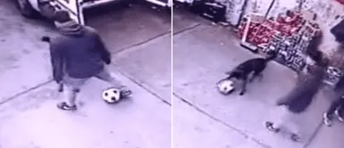 La perrita se volvió viral en redes sociales. La perrita se volvió viral en redes sociales.